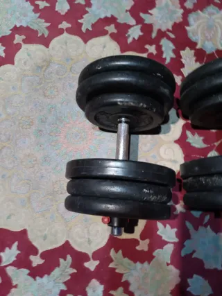 2.Mancuernas ajustables.57kg.salter