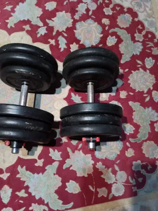 2.Mancuernas ajustables.57kg.salter