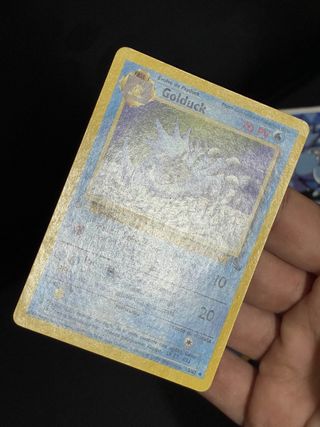 1’ edition Light Golduck e Golduck