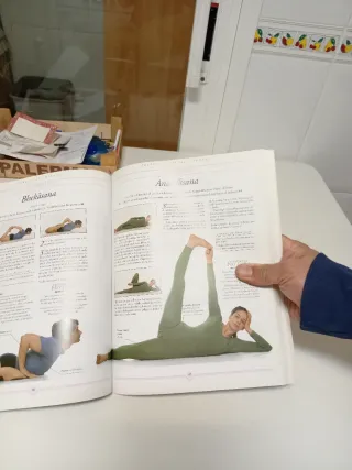 YOGA. EL MÉTODO IYENGAR (Spanish Edition)