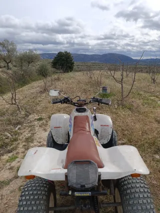 Polaris Trail Blazer 250 Quad