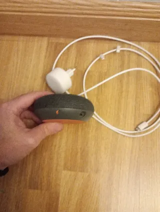 Assistente Google Home Mini