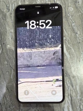 iPhone 11 Pro Max rosa