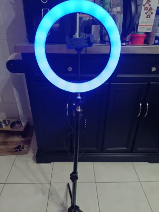 Tripé com Ring Light e Suporte para Telemóvel