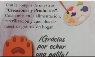 Cartera de mujer solidaria