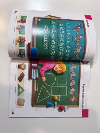 Libro de frances. Dictionnaire visuel franćais.