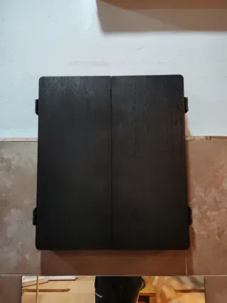 Diana Electrónica Canavara