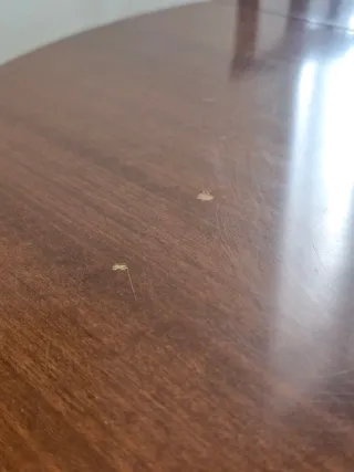 Mesa de madera extensible con 5 sillas