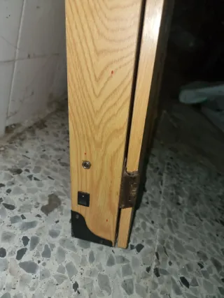 Diana de dardos con caja y dardos