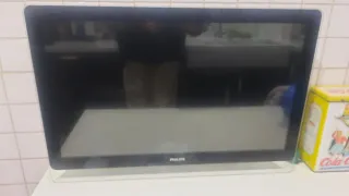 Televisor Philips 26PDL4906H/12