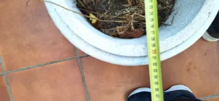 Lote de 4 macetas de piedra