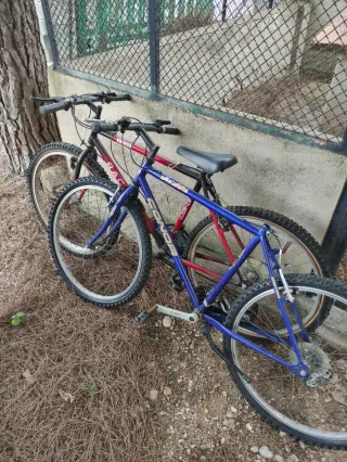 Lote 2 Bicicletas Montaña