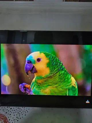 Samsung Galaxy Tab S3 32GB con spen y cargador