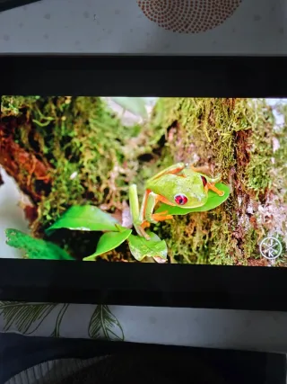 Samsung Galaxy Tab S3 32GB con spen y cargador