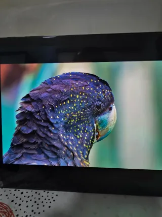 Samsung Galaxy Tab S3 32GB con spen y cargador