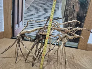 Raíces para acuarios