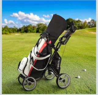 Carrito de golf plegable 4 ruedas