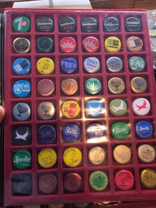 Colección de chapas 1.000 diferentes