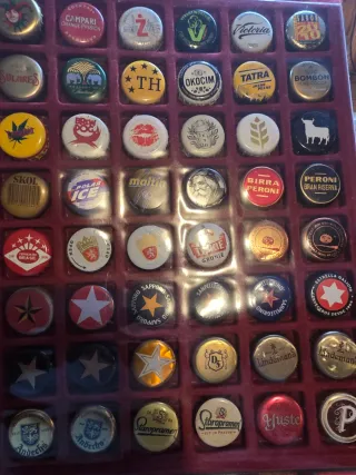 Colección de chapas 1.000 diferentes