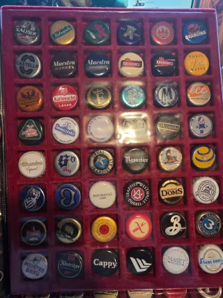 Colección de chapas 1.000 diferentes