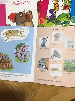 Pack de libros trasicionales infantiles . Son 15