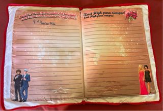 Cojín High School Musical 3 Tela