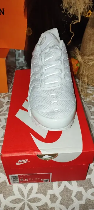 Scarpe Nike Air Max Plus Uomo Bianche