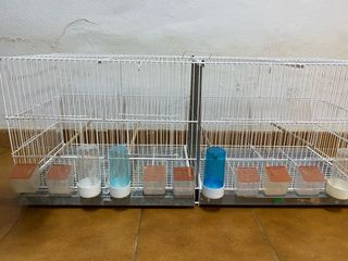 Jaulas para pájaros blancas y transparentes