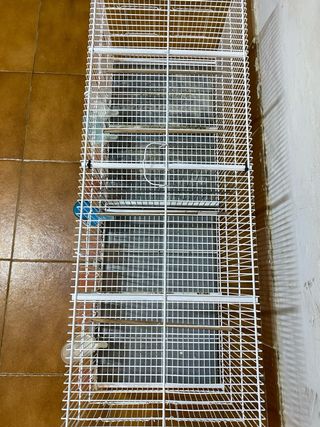 Jaulas para pájaros blancas y transparentes