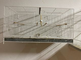 Jaulas para pájaros blancas y transparentes