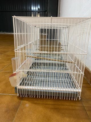 Jaulas para pájaros blancas y transparentes