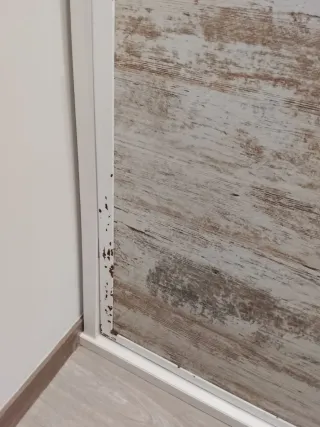 Armario Cama Abatible Horizontal 90 y escritorio