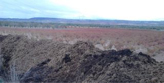 Abono Ciemo de Oveja