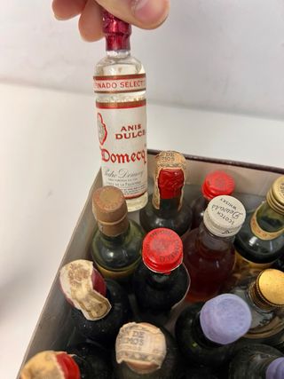 Colección de 30 Mini Botellas