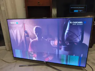Televisor Samsung LED 4K 55 pulgadas con defecto