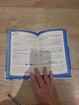 The Crazy Haacks y el misterio del anillo (Seri...