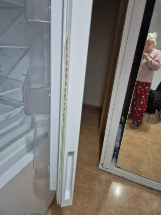 Nevera blanca con congelador