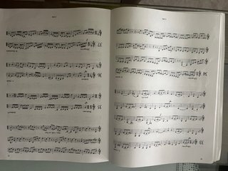 Libro Selected Studies for Flute