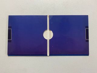 Tiburón Amiga Videojuego Erbe