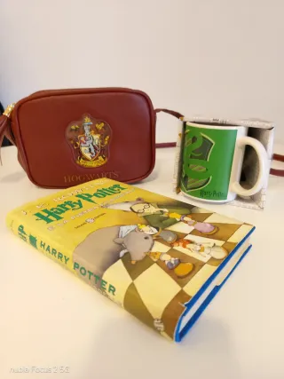 Set Harry Potter: Libro, Tazza e Borsa