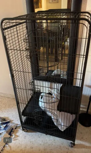 Jaula para pájaros grande