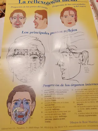 Libros Reflexologia Facial