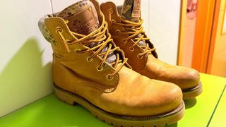 Botas Panama Jack piel serpiente