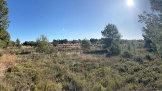 Rústico ideal para 2ª vivienda (incl. caseta aux.)