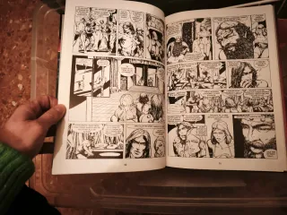 La espada salvaje de Conan. volumen 1 (Spanish ...