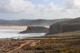 Canon EOS 2000D +2  Objetivos 18-55mm 18- 50