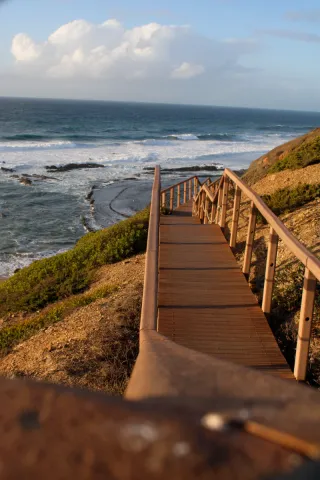 Canon EOS 2000D +2  Objetivos 18-55mm 18- 50