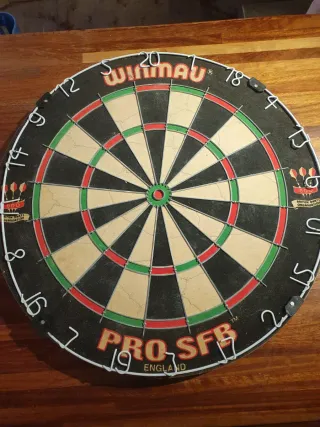 Diana Winmau + Dardos John Lowe