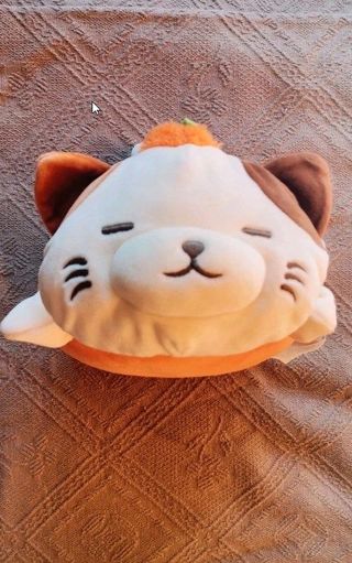 Peluche Gato Halloween Miniso