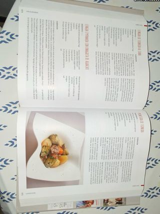 La buena cocina: 900 recetas que siempre salen ...